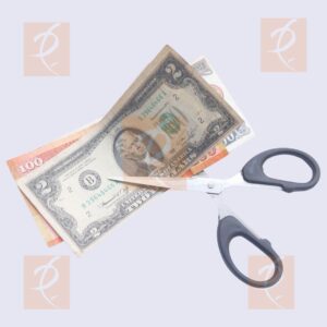 Expenditure Cut Money 1