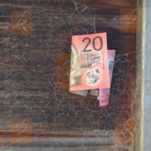 Financial Scam