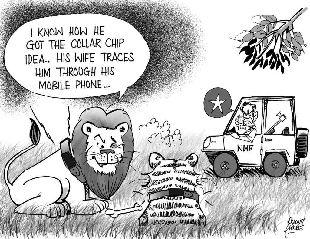 collar chip