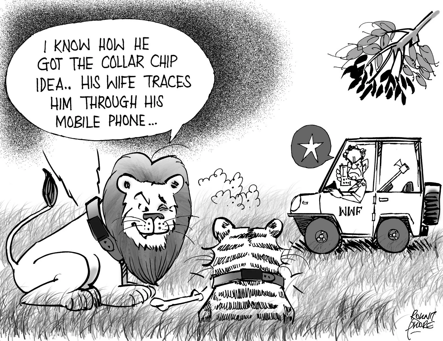 collar chip